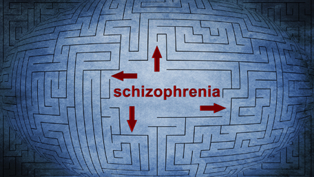 Schizophrenia in a maze