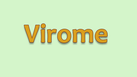 Virome